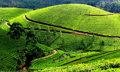 MUNNAR